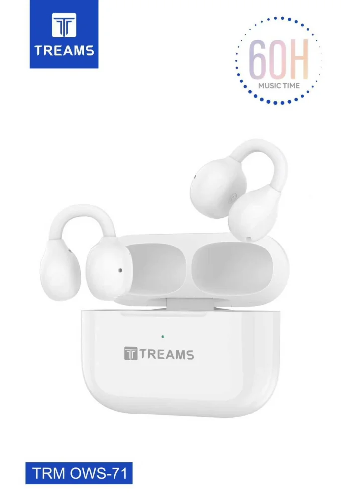 Earbuds